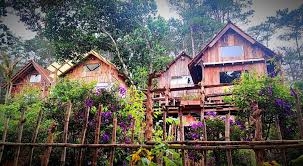 Tổ Chim Ri Măng Đen - Nơi nghỉ dưỡng bình yên giữa núi rừng