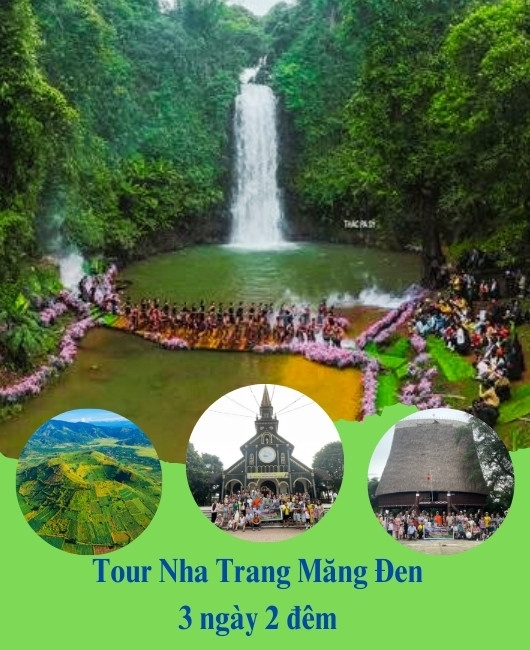 Tour Nha Trang Măng Đen 3 ngày 2 đêm