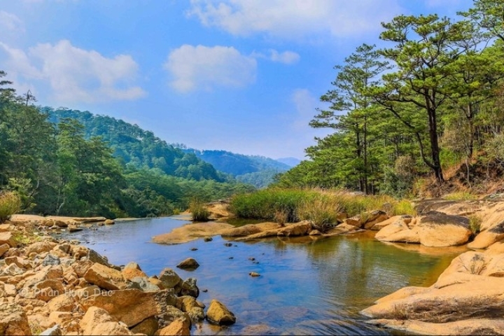 Homestay Kon Tum: Tận hưởng view rừng thông bạt ngàn, thư thái