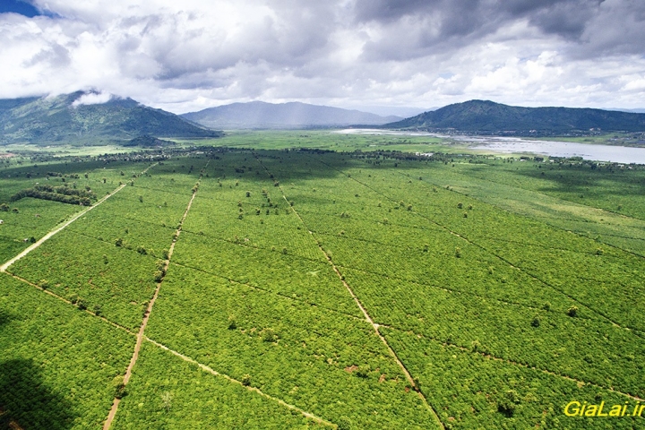 Khám phá và Check-in Biển Hồ Chè: Trải nghiệm cảnh sắc tuyệt đẹp