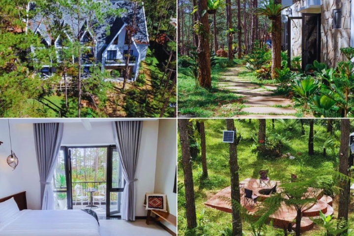 Casa Vanilla Măng Đen: Chốn nghỉ hương vani giữa rừng thông ngàn.