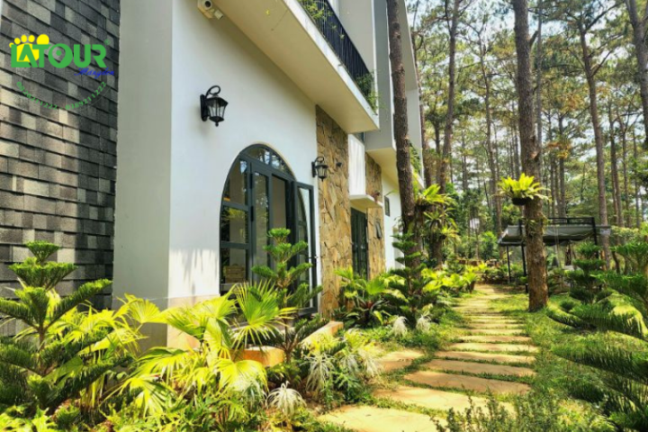 Đánh Giá Homestay Măng Đen: Trải Nghiệm Thư Giãn Giữa Đại Ngàn