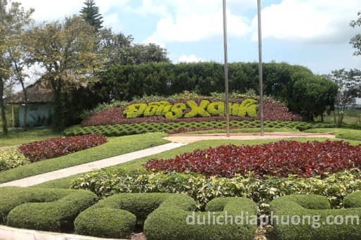 Đồng Xanh Pleiku: Thiên đường xanh mát giữa lòng phố núi