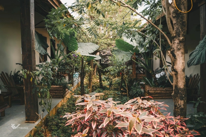 Khám phá Du Yên Garden Mang Đen: Ốc đảo xanh tươi giữa lòng cao nguyên