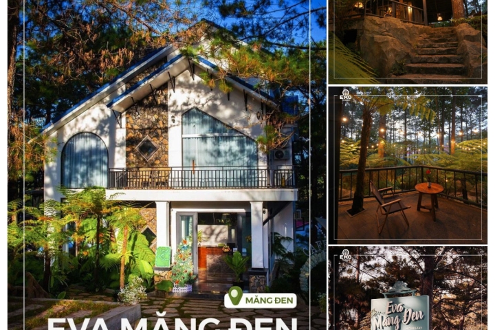 Eva Măng Đen Homestay: Thiên Đường Nghỉ Dưỡng Giữa Lòng Cao Nguyên