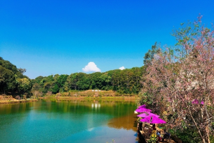 Hồ Đambri Măng Đen: Nét Đẹp Hoang Sơ Giữa Cao Nguyên Hùng Vĩ Tây Nguyên