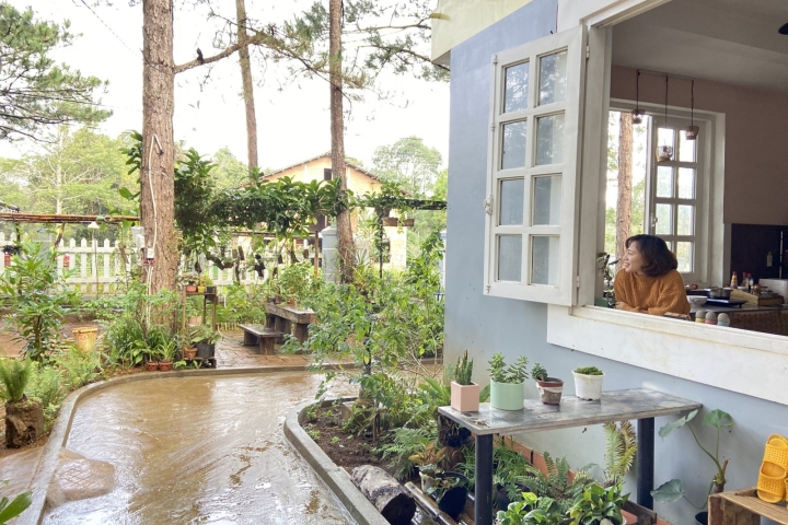 La Maison Homestay Măng Đen: Nơi Bình Yên Giữa Đại Ngàn Xanh Biếc
