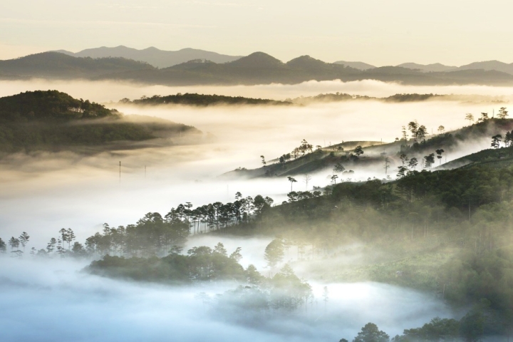 Khám phá Gia Lai: Review chi tiết điểm đến hot nhất, đáng đi