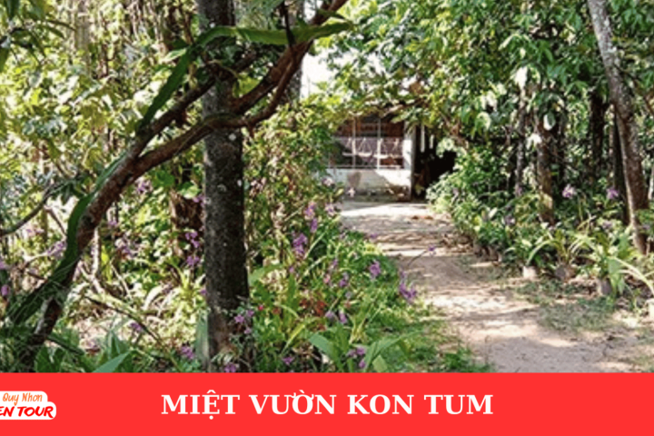 Giá vé vào cổng Miệt Vườn Kon Tum mới nhất: Cập nhật chi tiết