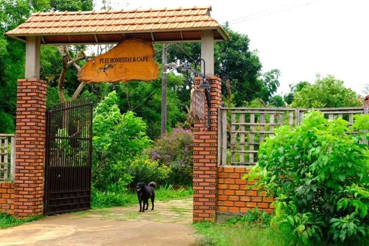 Homestay Gia Lai BBQ: Trải nghiệm ẩm thực và nghỉ dưỡng tiện nghi