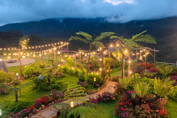 Săn Mây Măng Đen: Coffee & Homestay view đồi, săn mây tuyệt đẹp.