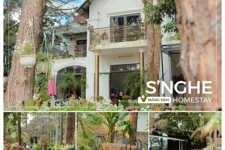 Homestay niem t'rị Măng Đen: Chốn Yên Bình Giữa Lòng Cao Nguyên Xanh