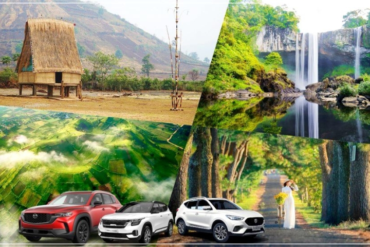 Thuê xe Pleiku giá rẻ, uy tín, có tài xế hoặc tự lái tiện lợi