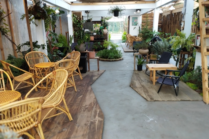 Trải Nghiệm Săn Mây Độc Đáo Ở Cafe Măng Đen Tuyệt Đẹp Nhất