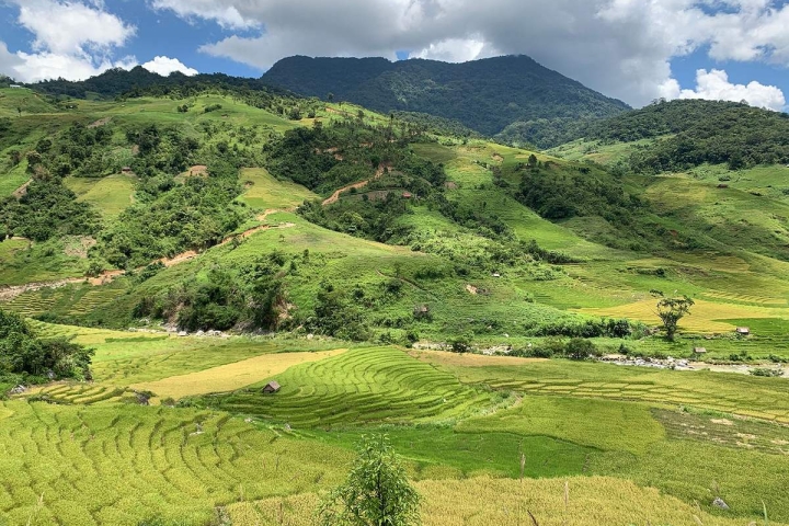 Hành trình Trekking săn mây đỉnh Ngọc Linh huyền ảo