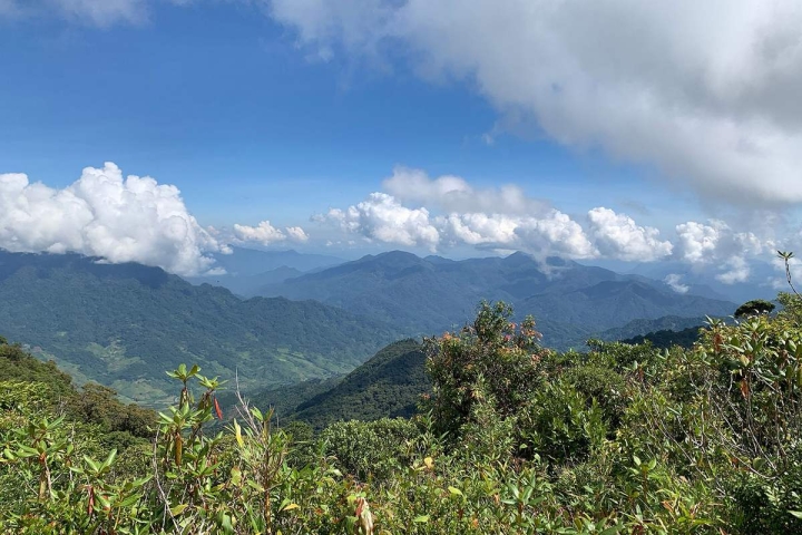 Chinh phục đỉnh Ngọc Linh: Hành trình khám phá đại ngàn bí ẩn