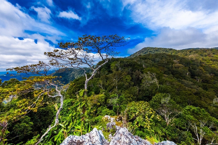 Đỉnh Kon Ka Kinh: Vùng đất hoang sơ, hùng vĩ của đại ngàn Tây Nguyên