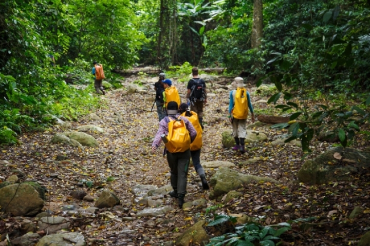 Chuyến Phiêu Lưu Trekking Vườn Quốc gia Kon Ka Kinh Hùng Vĩ