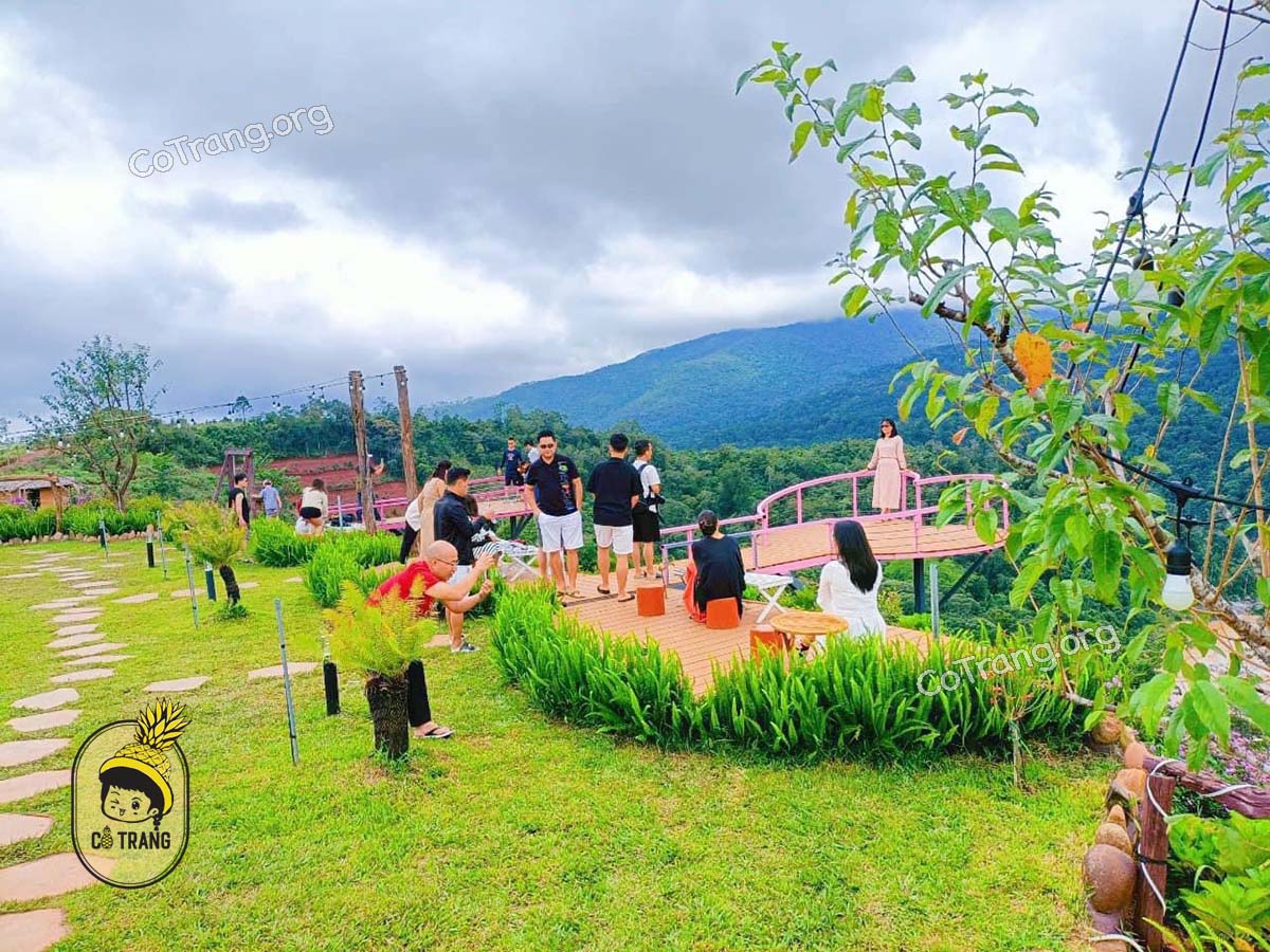 Săn Mây Coffee and Homestay Măng Đen