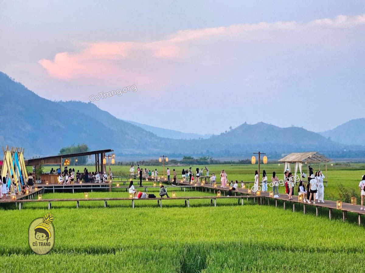 Cafe Lúa Ngô Sơn Gia Lai