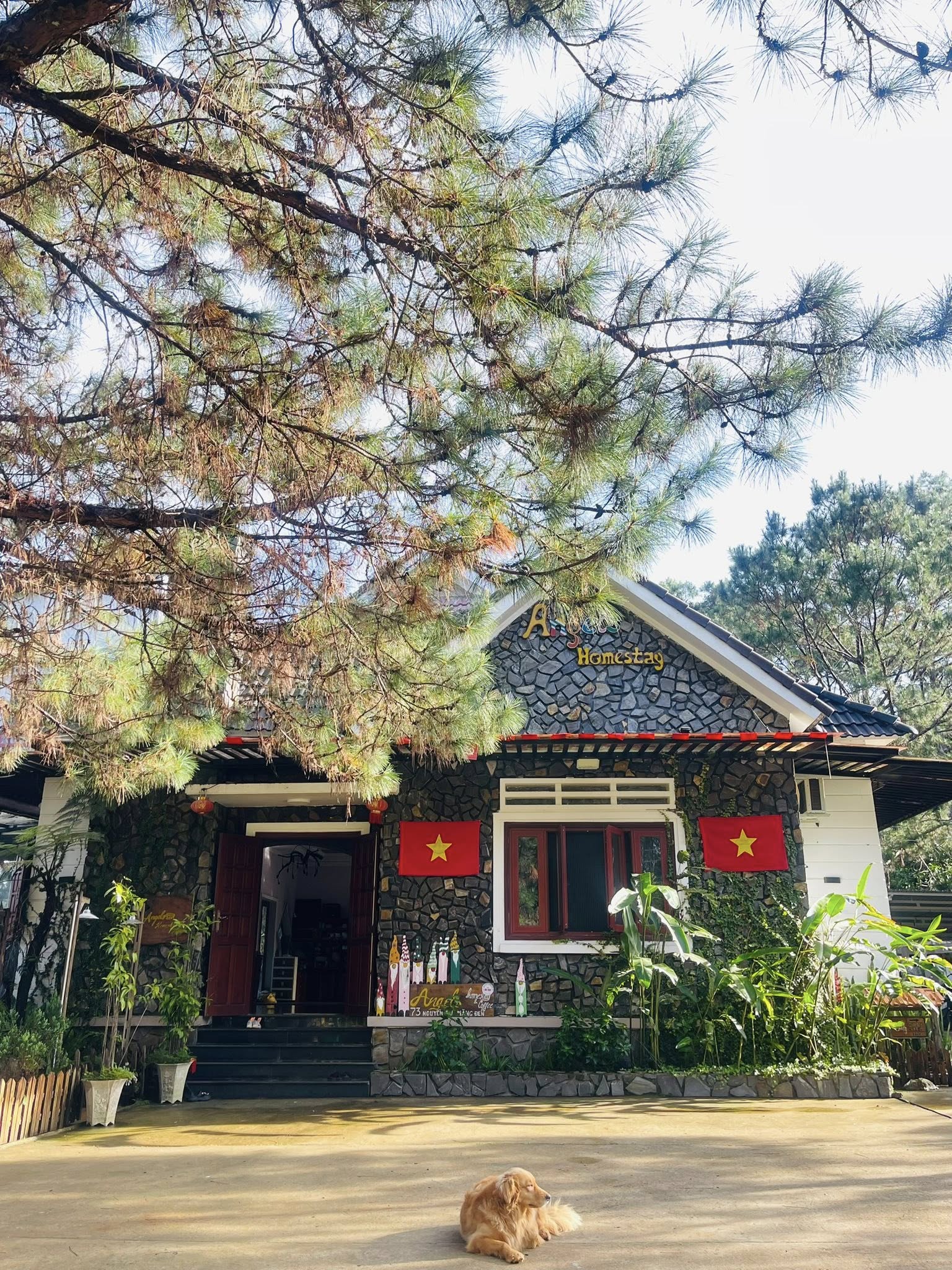 Angels Homestay & Coffee