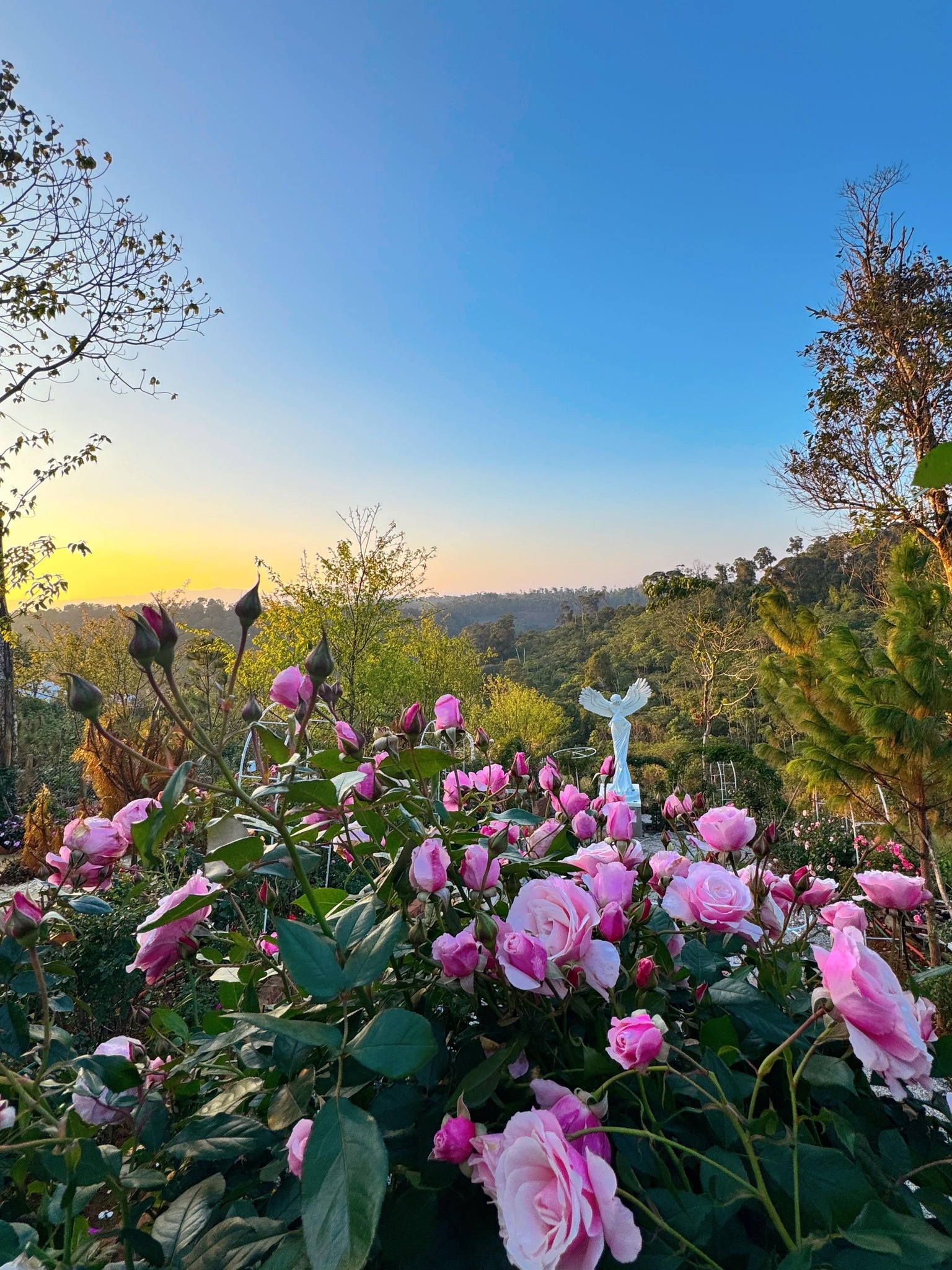 Celina Homestay Măng Đen