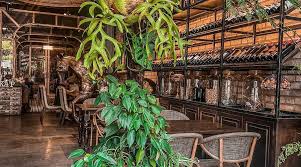 Kap Bistro Pleiku