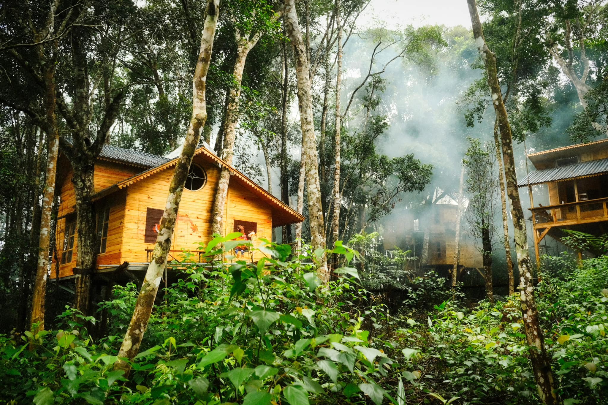 Măng Đen Treehouse Village Resort & Zipline