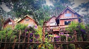 Tổ Chim Ri Homestay Măng Đen