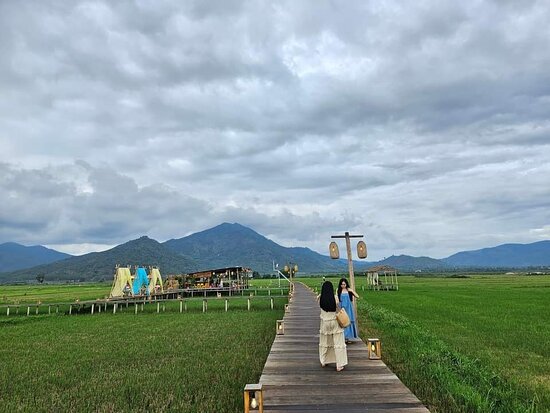 Cafe Lúa Ngô Sơn Gia Lai
