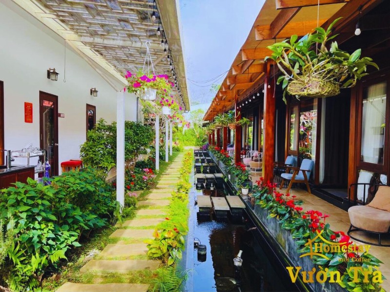 Vườn Trà HomeStay Măng Đen