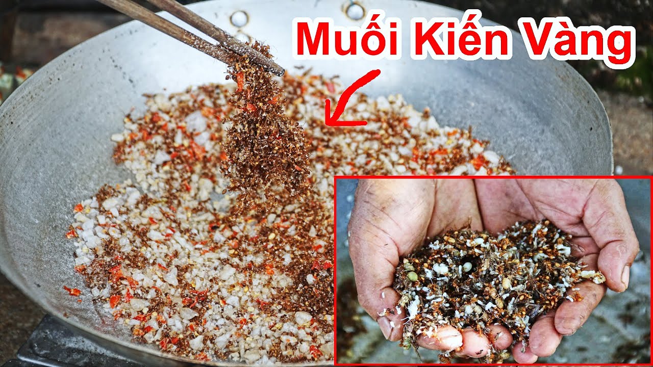 Muối kiến vàng