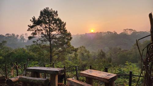 Nhánh House và Big Măng Đen Hostel