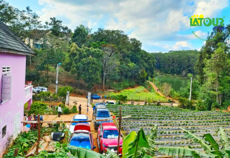 View phòng “triệu đô” tại Shabbat Home Măng Đen 