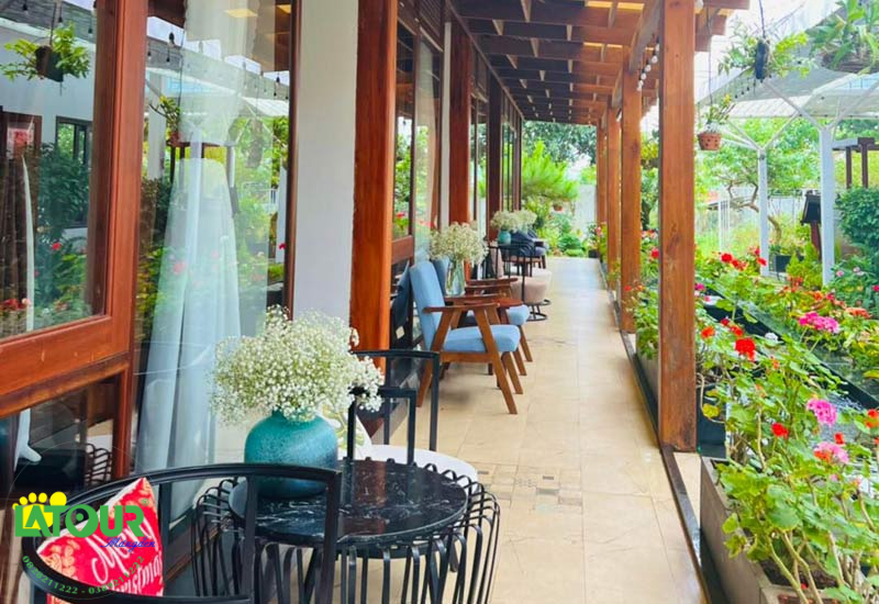 Vườn Trà Homestay & Coffee