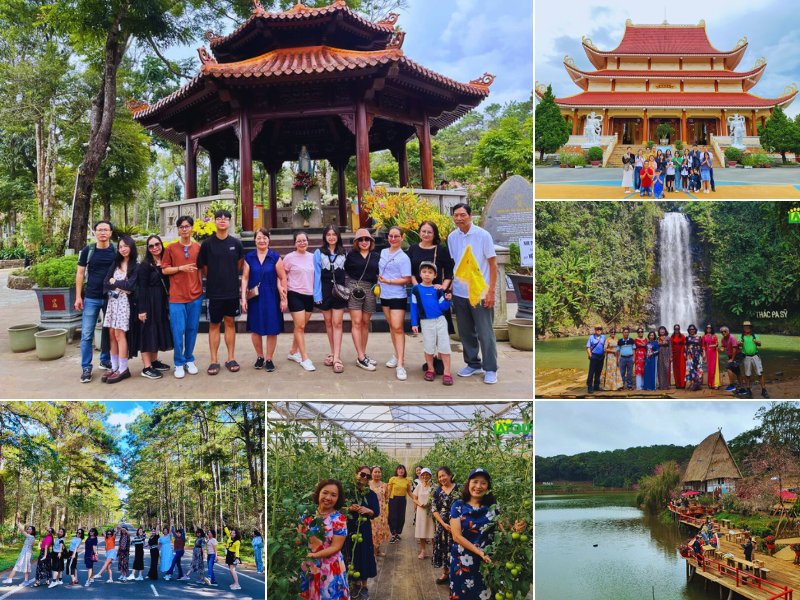 Tour Quy Nhơn Măng Đen 2 ngày 1 đêm