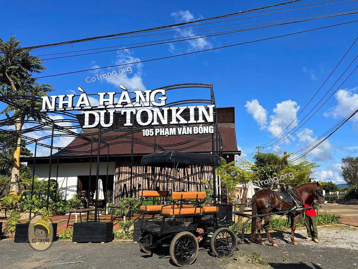 Đặt bàn nhà hàng Măng Đen - Nơi hội tụ tinh hoa ẩm thực Tây Nguyên.