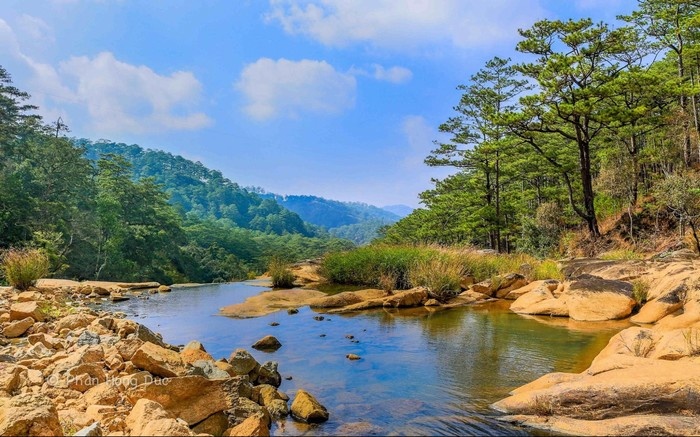 Homestay Kon Tum: Tận hưởng view rừng thông bạt ngàn, thư thái