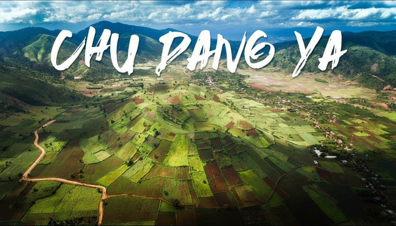 Núi lửa Chư Đăng Ya mùa hoa