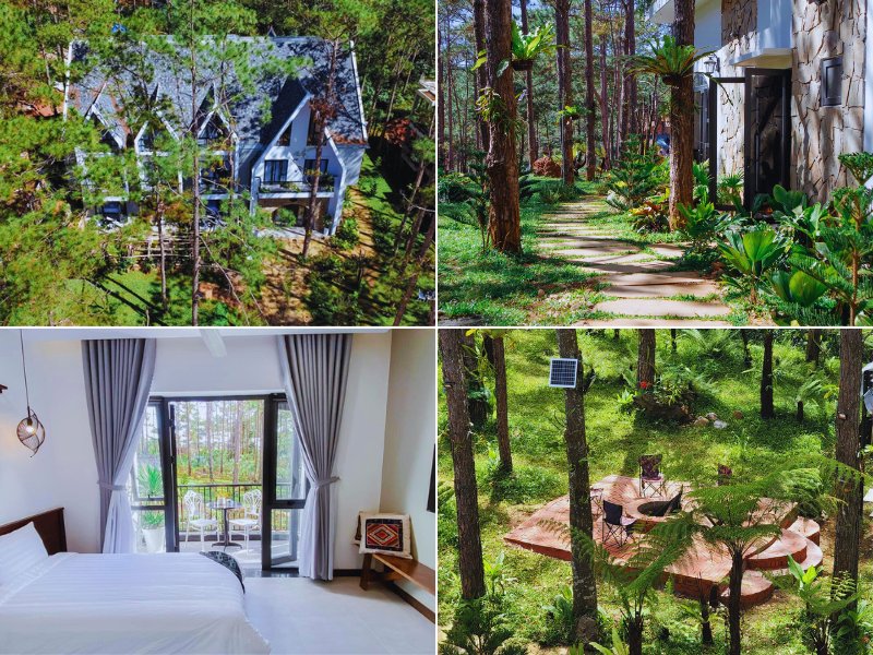 Casa Vanilla Măng Đen: Chốn nghỉ hương vani giữa rừng thông ngàn.