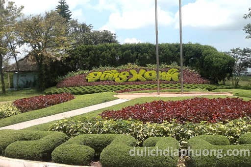 Đồng Xanh Pleiku: Thiên đường xanh mát giữa lòng phố núi