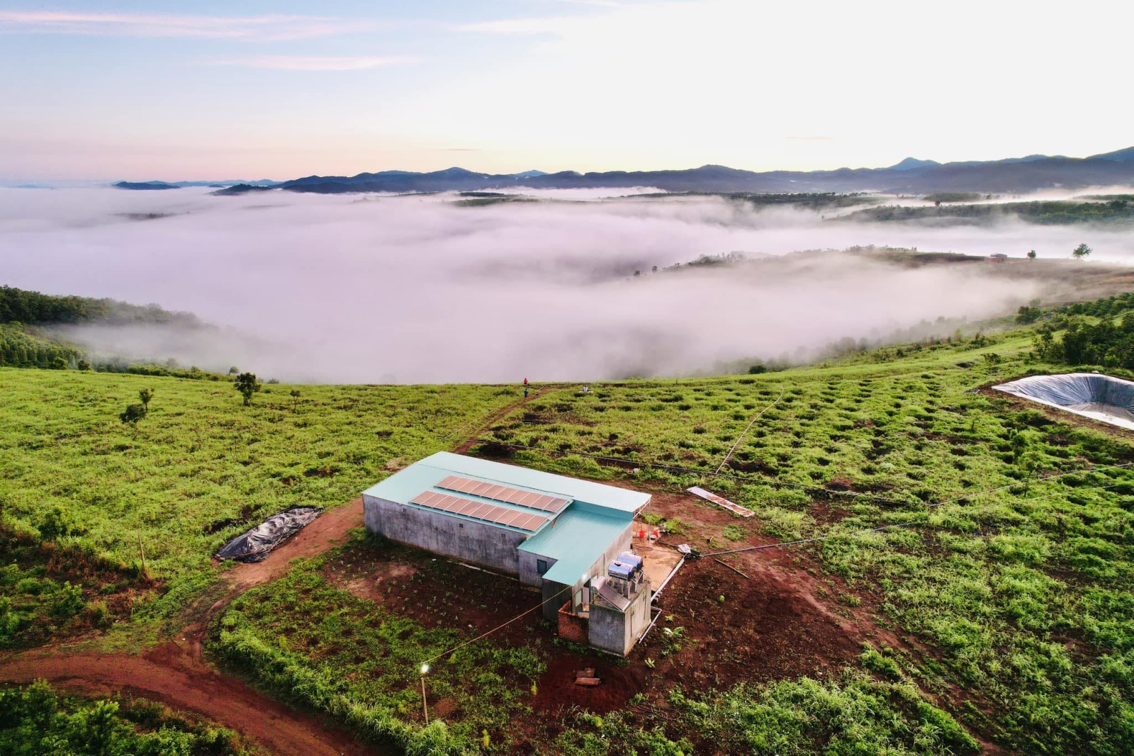 Phố Mây Măng Đen: Nơi Chốn Bình Yên Giữa Đỉnh Cao Đại Ngàn