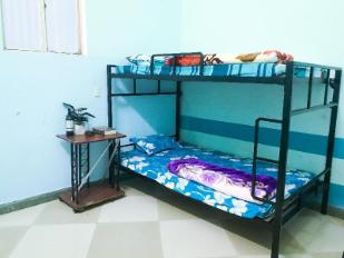 Harry House Pleiku: Góc nhà mộng mơ giữa lòng cao nguyên xanh