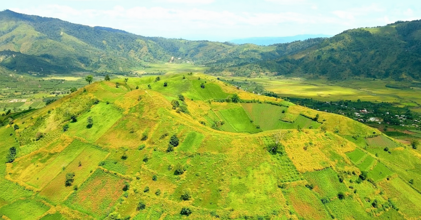 Lễ hội hoa dã quỳ Chư Đăng Ya