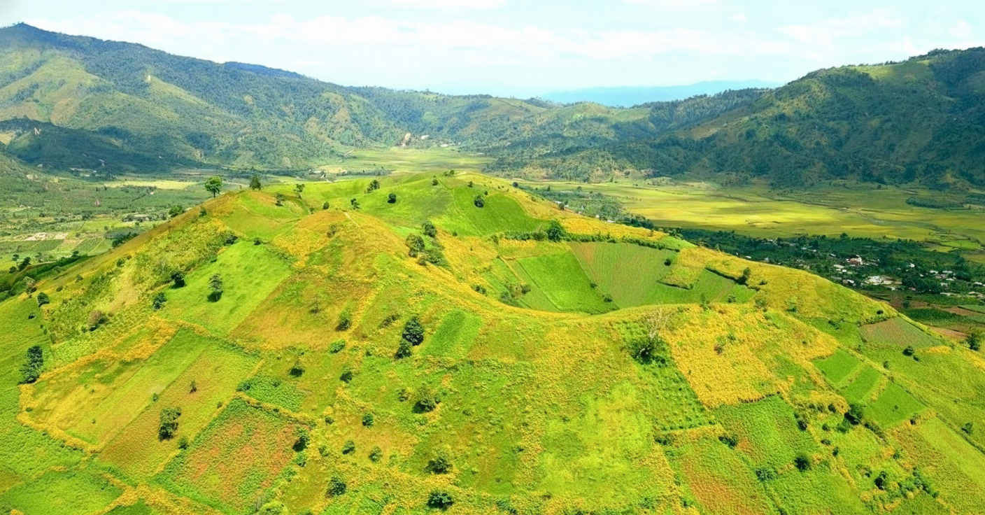 Du khách ngắm hoa Chư Đăng Ya