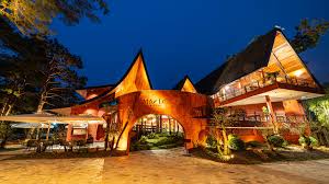 MA.DE Bistro Măng Đen: Hương vị độc đáo giữa cao nguyên xanh