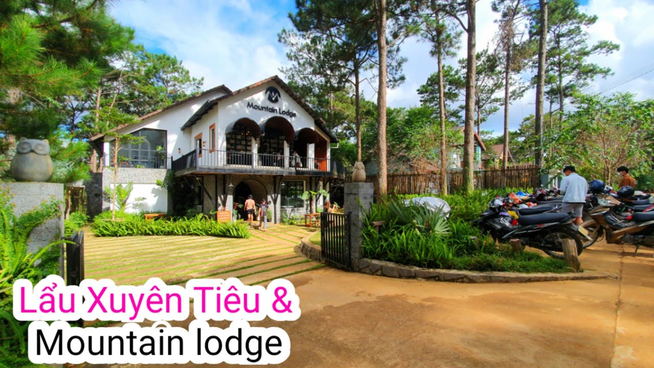 Mountain Lodge Măng Đen: Trải nghiệm bình yên núi rừng Kon Tum