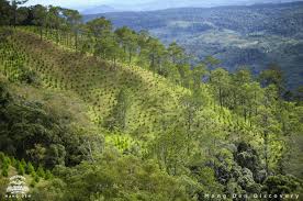 Đỉnh Ngọc Lễ Kon Tum: Kinh nghiệm trekking chi tiết cho người mới