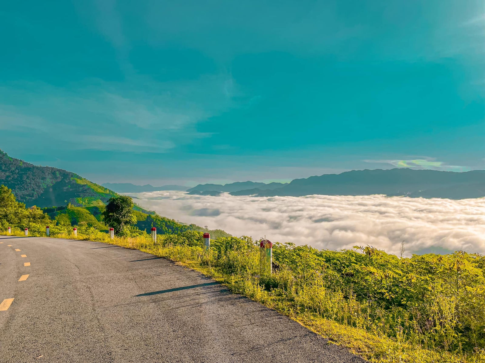 Đèo Violak Măng Đen: Cung đường thử thách, nối liền Kon Tum - Quảng Ngãi.