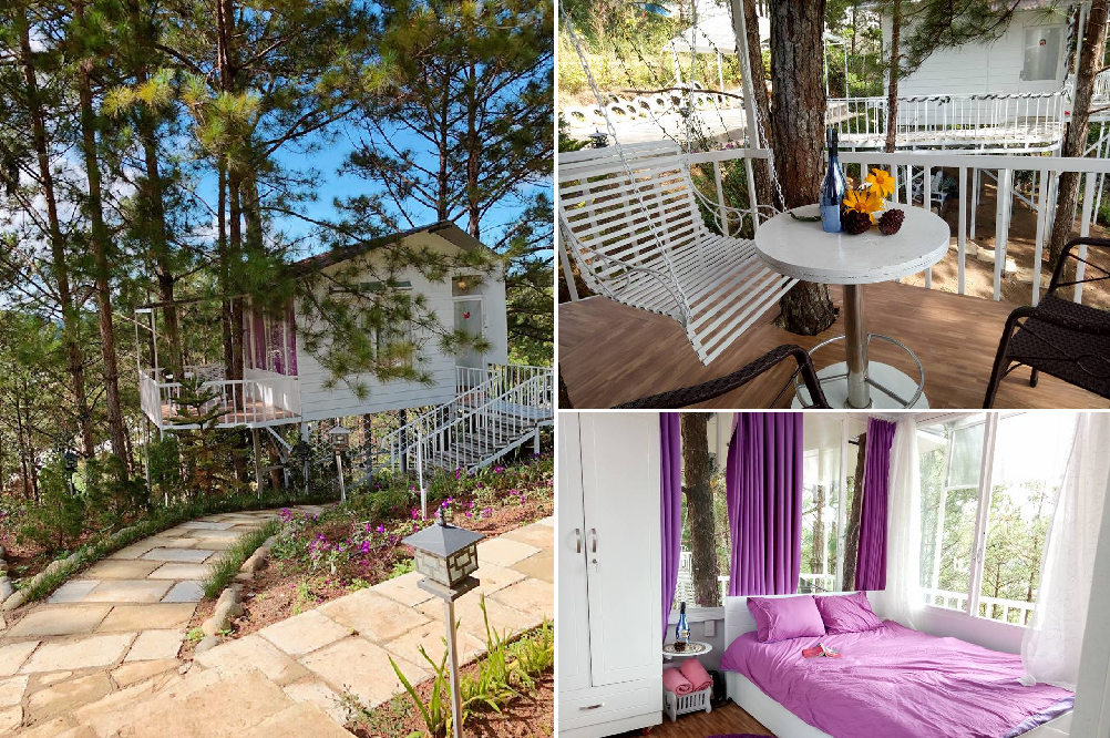 Lộ trình trekking Gia Lai: Khám phá vẻ đẹp thiên nhiên hùng vĩ